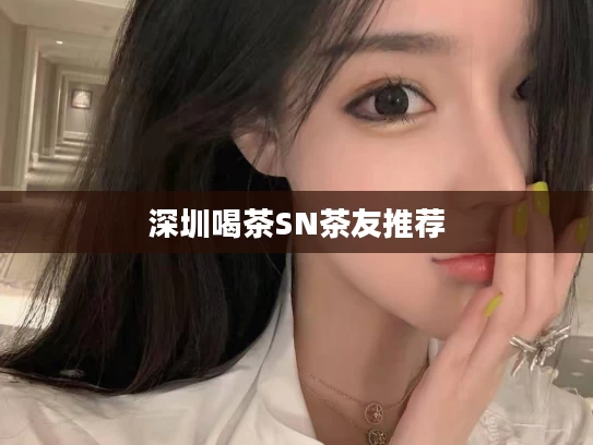 深圳喝茶SN茶友推荐