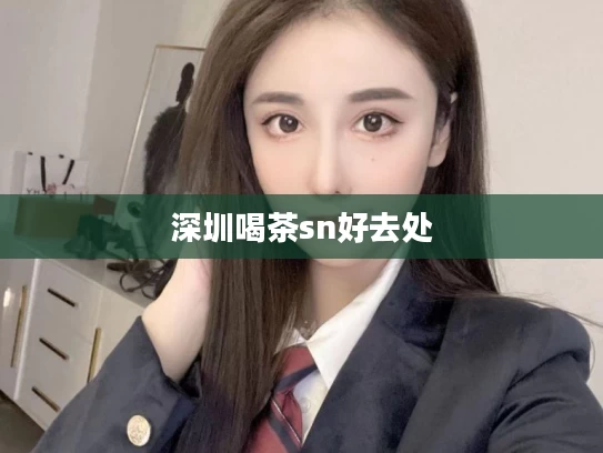 深圳喝茶sn好去处