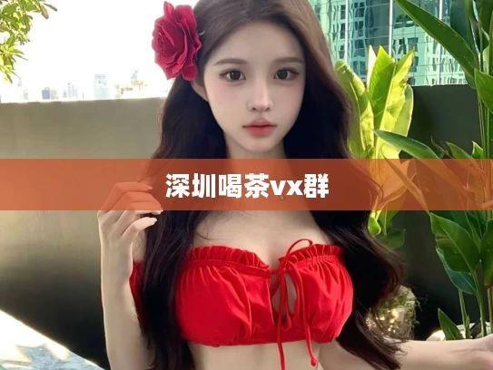 深圳喝茶vx群