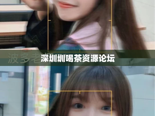 深圳圳喝茶资源论坛