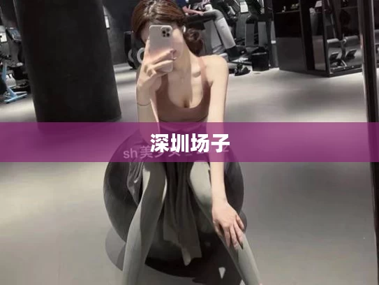 深圳场子