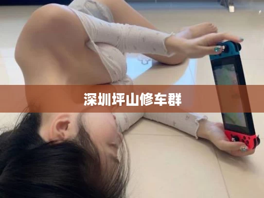 深圳坪山修车群