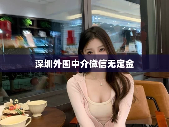 深圳外围中介微信无定金