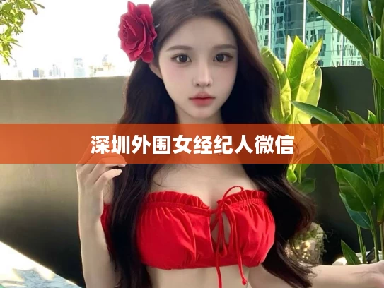 深圳外围女经纪人微信
