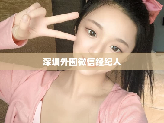 深圳外围微信经纪人