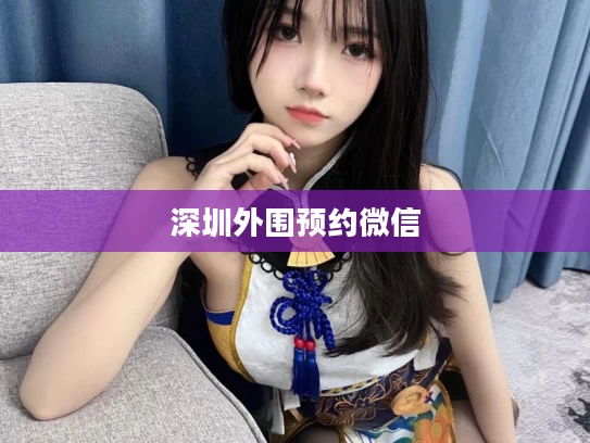 深圳外围预约微信