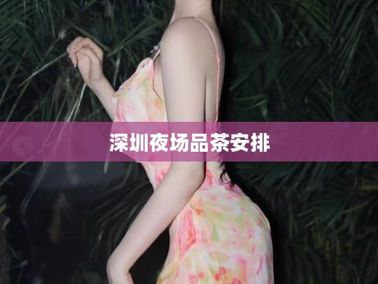 深圳夜场品茶安排