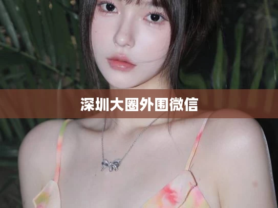 深圳大圈外围微信