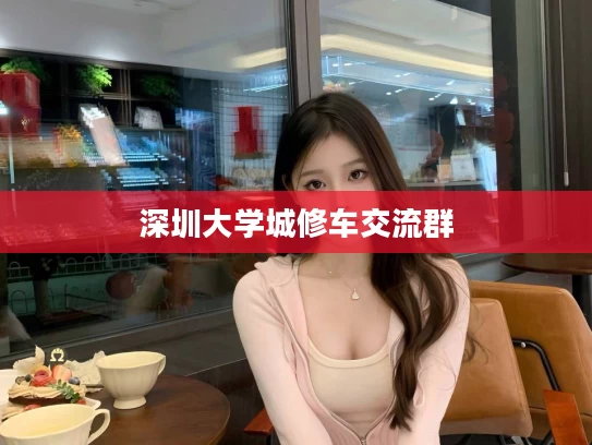 深圳大学城修车交流群