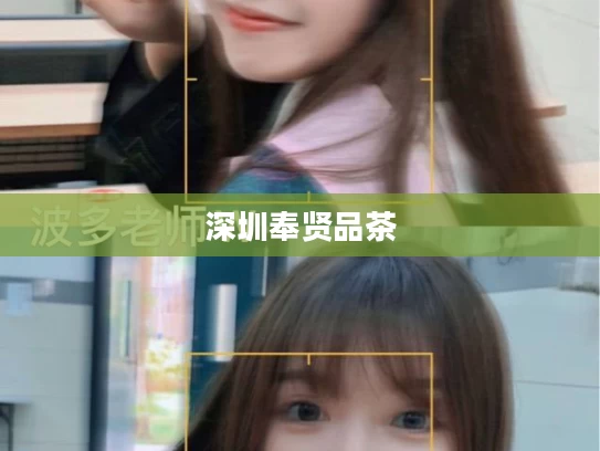 深圳奉贤品茶