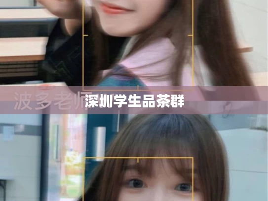 深圳学生品茶群