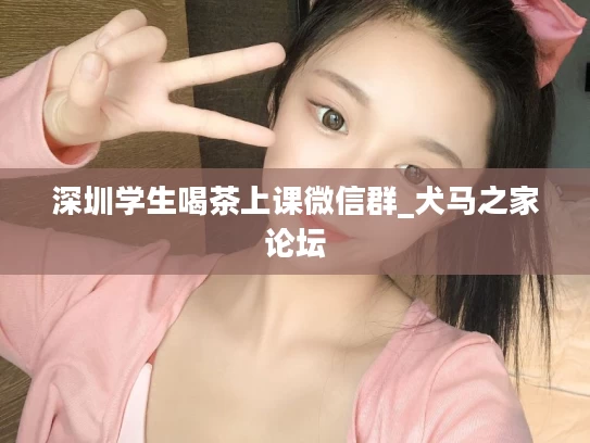 深圳学生喝茶上课微信群_犬马之家论坛