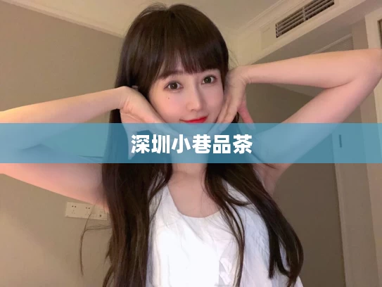 深圳小巷品茶