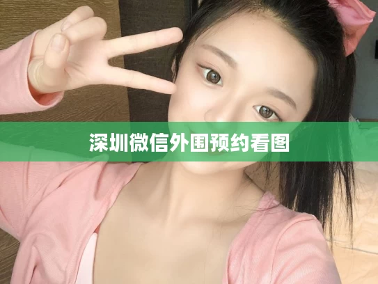深圳微信外围预约看图