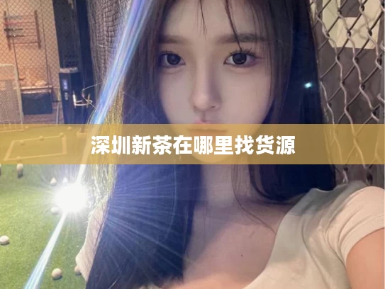 深圳新茶在哪里找货源
