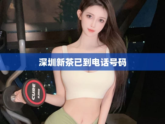 深圳新茶已到电话号码