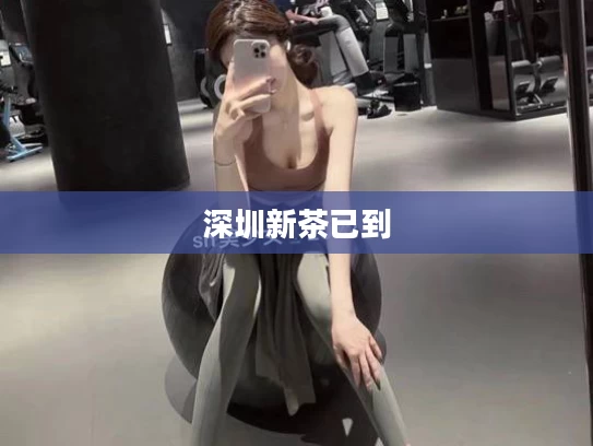 深圳新茶已到