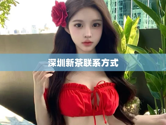 深圳新茶联系方式
