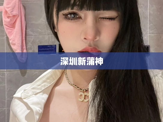 深圳新蒲神