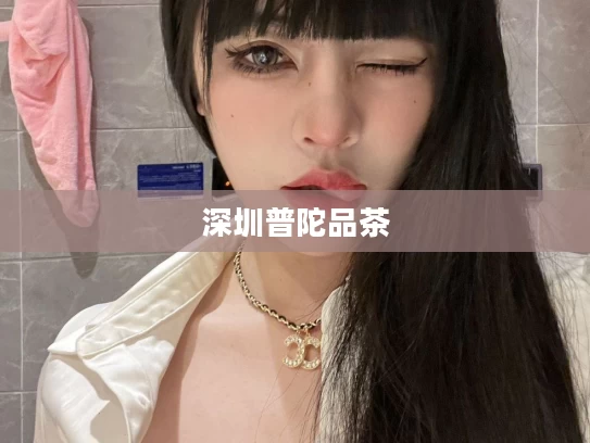 深圳普陀品茶