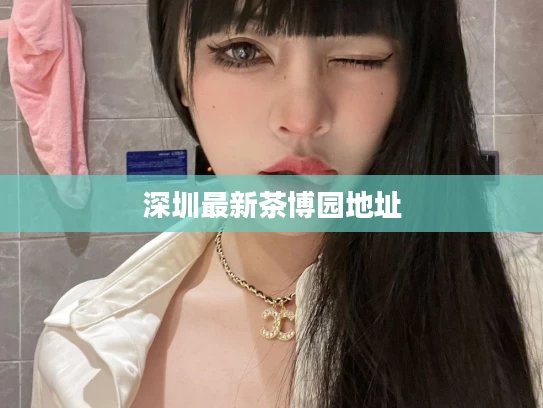 深圳最新茶博园地址