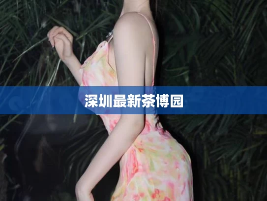 深圳最新茶博园