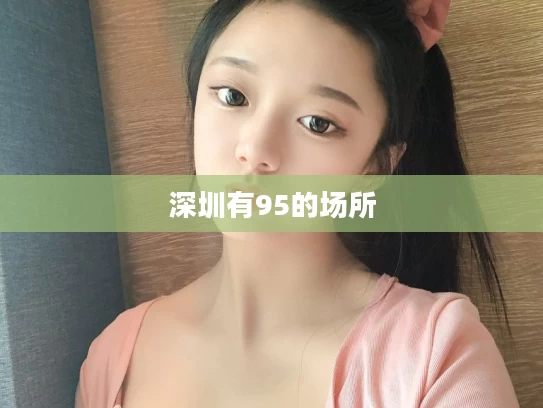 深圳有95的场所