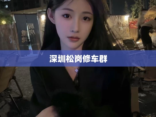 深圳松岗修车群