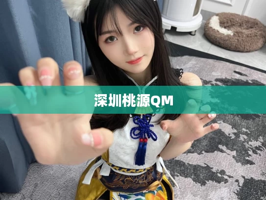深圳桃源QM