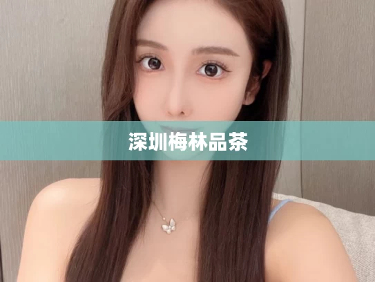 深圳梅林品茶