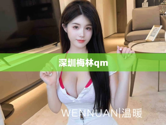 深圳梅林qm