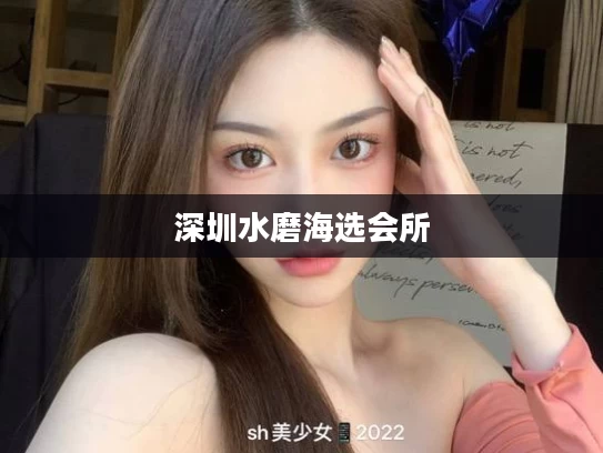 深圳水磨海选会所