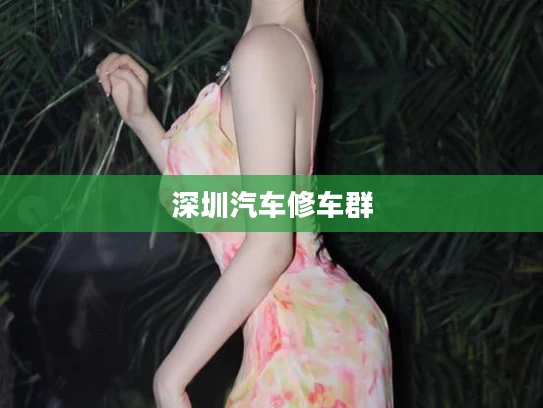 深圳汽车修车群