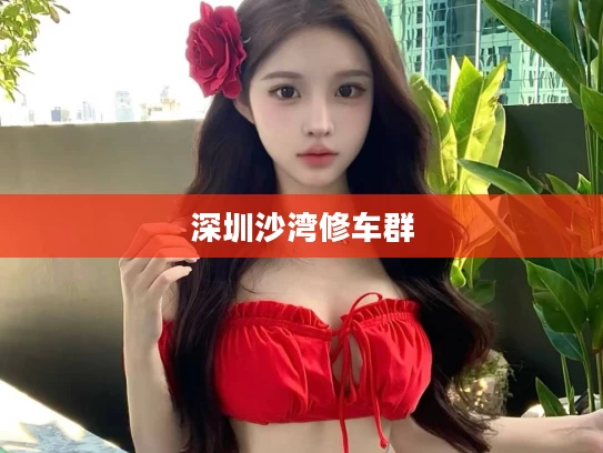 深圳沙湾修车群