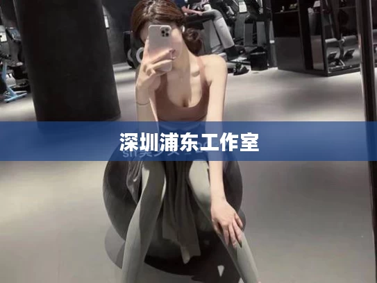 深圳浦东工作室
