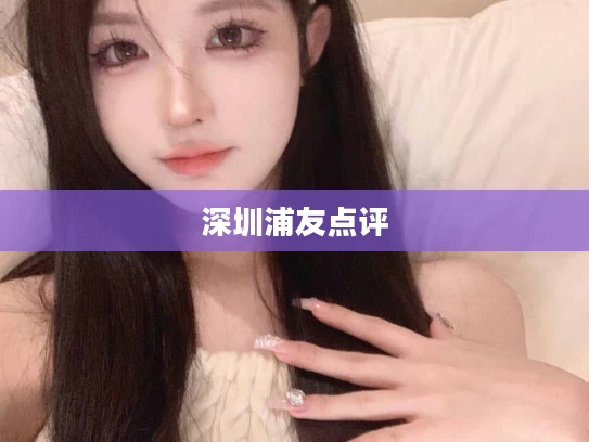 深圳浦友点评