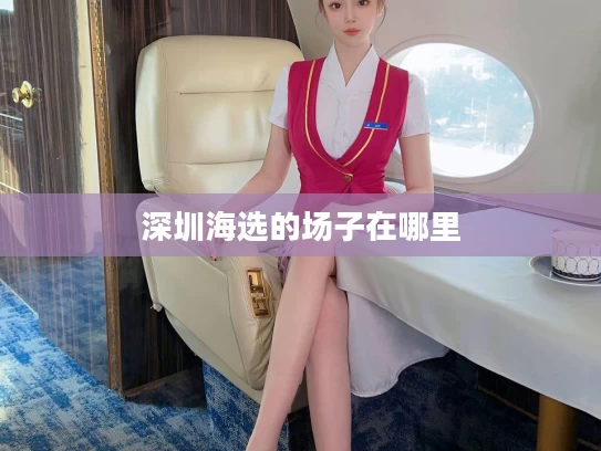深圳海选的场子在哪里