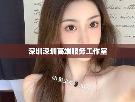 深圳深圳高端服务工作室