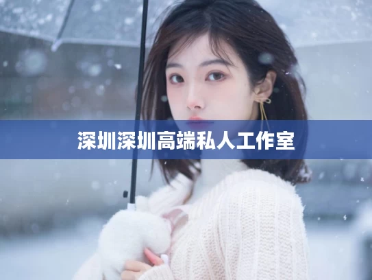 深圳深圳高端私人工作室	