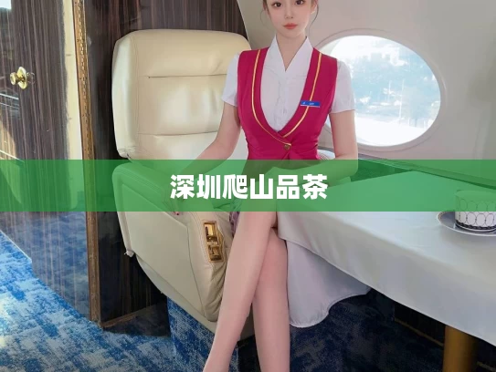 深圳爬山品茶