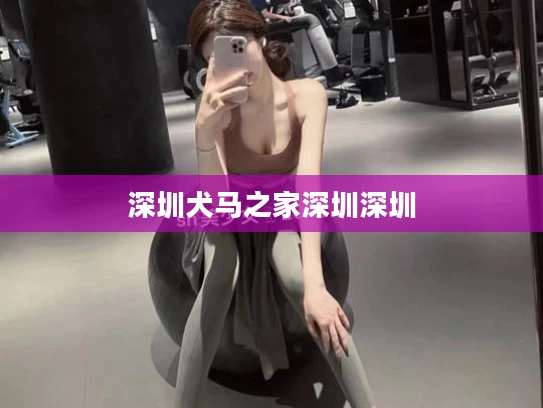 深圳犬马之家深圳深圳