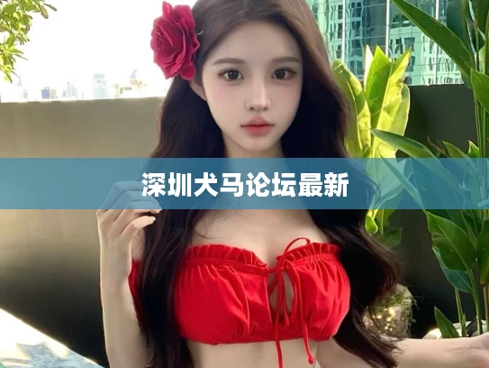 深圳犬马论坛最新