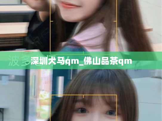 深圳犬马qm_佛山品茶qm