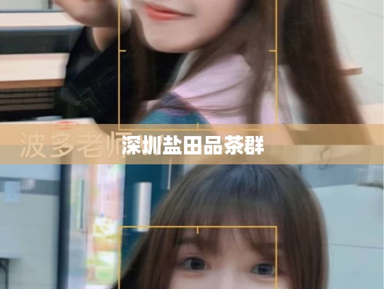 深圳盐田品茶群