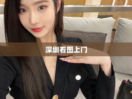 深圳看图上门