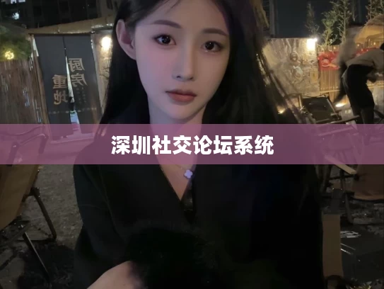 深圳社交论坛系统