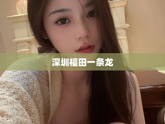 深圳福田一条龙
