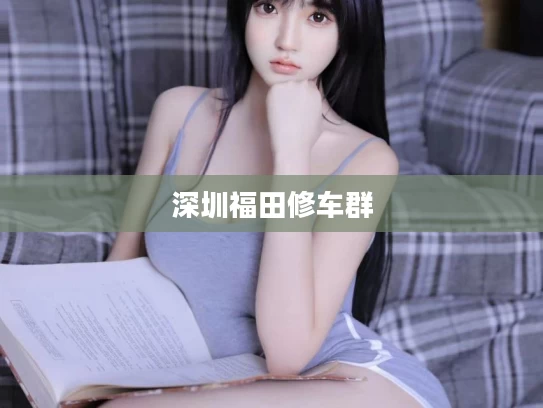 深圳福田修车群