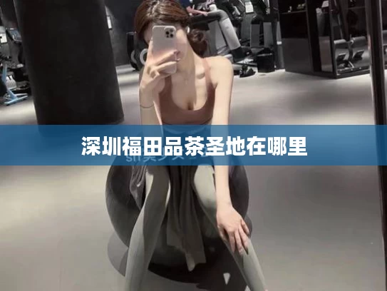深圳福田品茶圣地在哪里