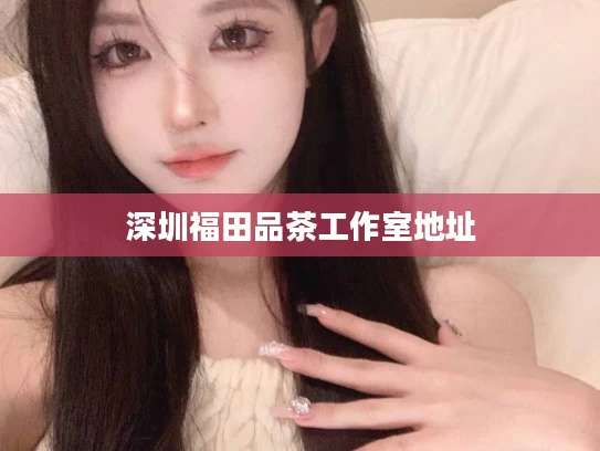 深圳福田品茶工作室地址